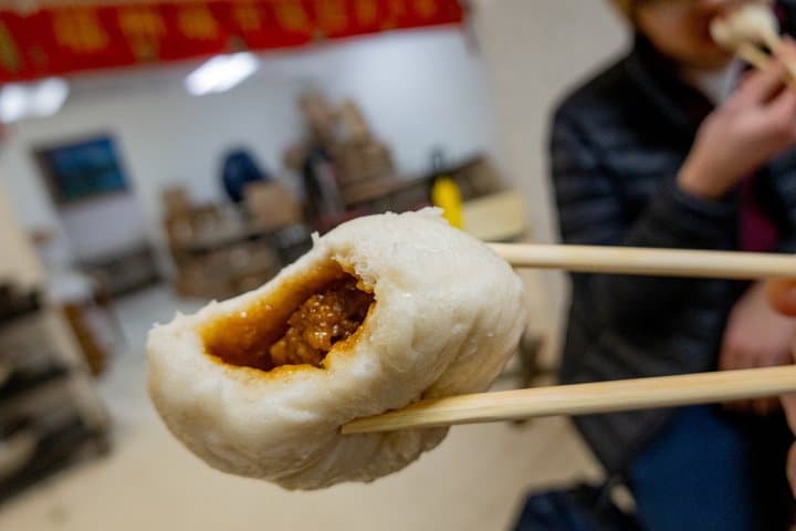 NYC Chinatown Hidden Gem Dumplings & Buns Tour