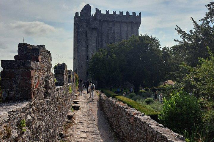 Private Wild Atlantic Day Tour von Cork
