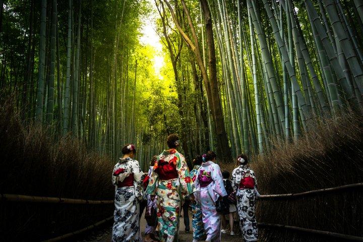 Arashiyama Bamboo Forest et Zen Garden Tour