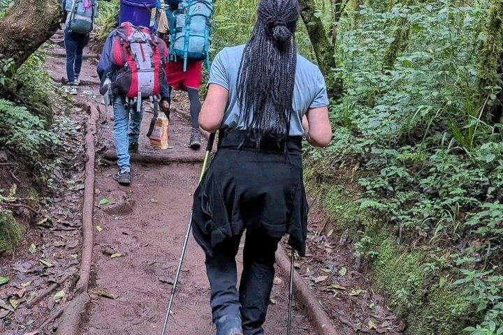 KILITA SAFARISによるキリマンジャロ一日ハイキング体験への参加