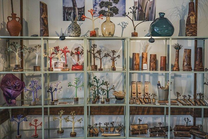 Workshop to connect with Almería through desert wood