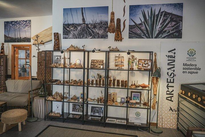 Workshop to connect with Almería through desert wood