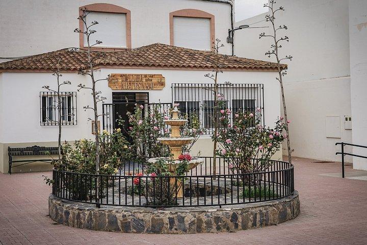 Workshop to connect with Almería through desert wood