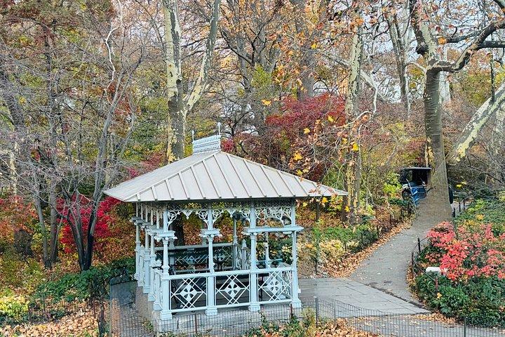 Pedicab Rides Discover Central Park Iconic Attractions