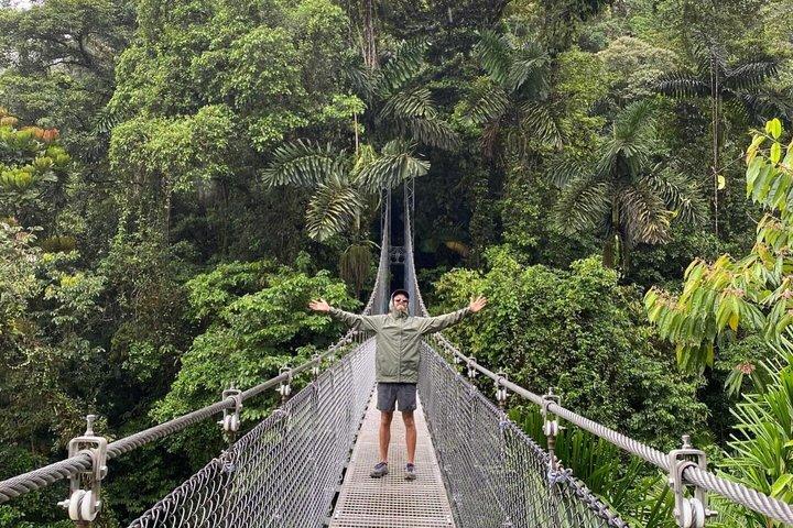Tour del vulcano Arenal, ponti sospesi e bradipo.