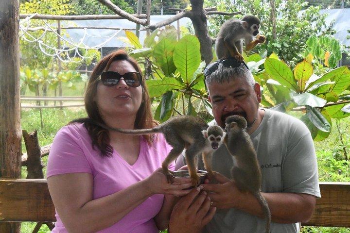 Hoteller i nærheden af Puerto Plata Horseback Riding and Monkey Adventure Tour