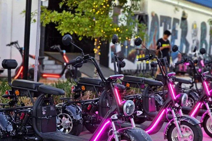 トライクセルフガイド付きヒューストンダウンタウン壁画ツアー