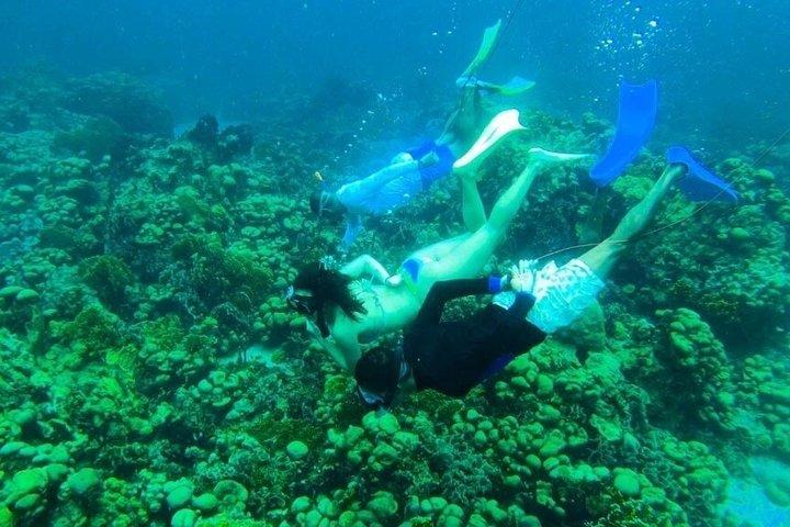 Tour privato in barca sull'isola di Rosario e Barú fino a 17