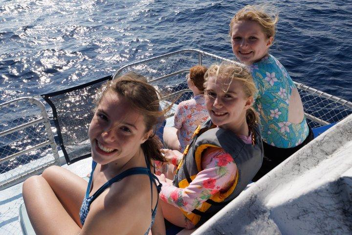 Small-Group Dolphin Turtle & Whale Safari w/ Marine Biologists