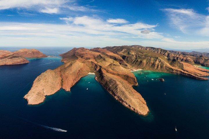 アシカシュノーケリング付きエスピリトゥサント島ツアー