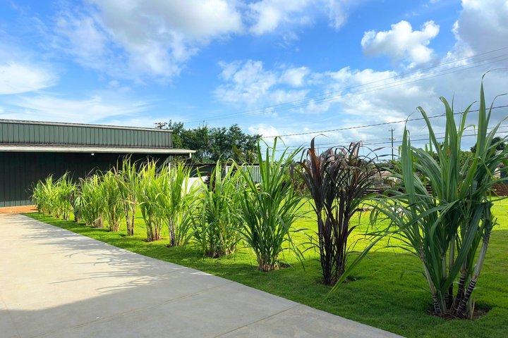 Oahu: Dole Plantation and Ko Hana Distillery with Rum Tasting