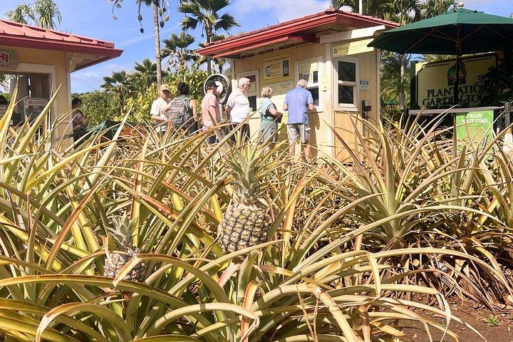 オアフ島：マウカ戦士ルアウ、ラム酒テイスティング、ドールプランテーションツアー