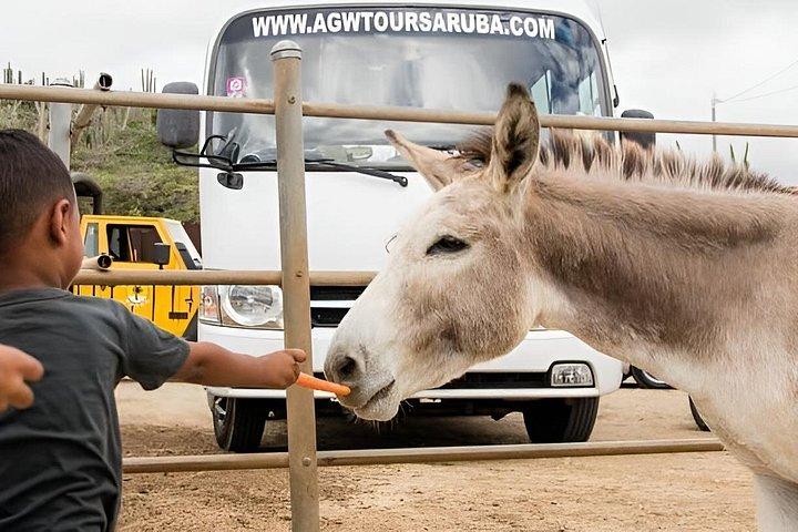 Customized Aruba Island Private Tour for All Ages
