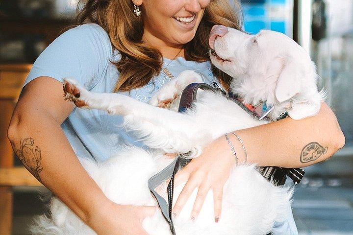 Rescue Dog Lounge Experience in Bellingham