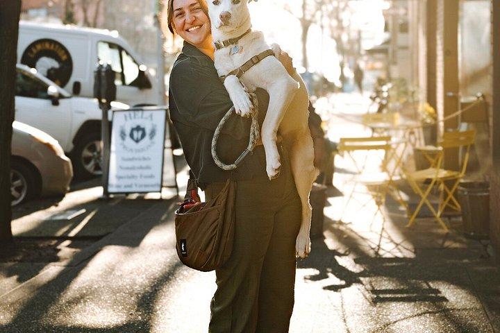 Rescue Dog Lounge Experience in Bellingham