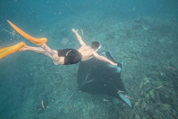 バリ島発ヨットヌサペニダマンタシュノーケリング＆ランドツアー