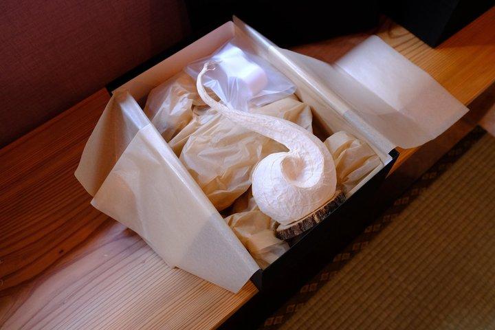 Osaka Washi Lamp Craft Workshop Private or Shared Experience