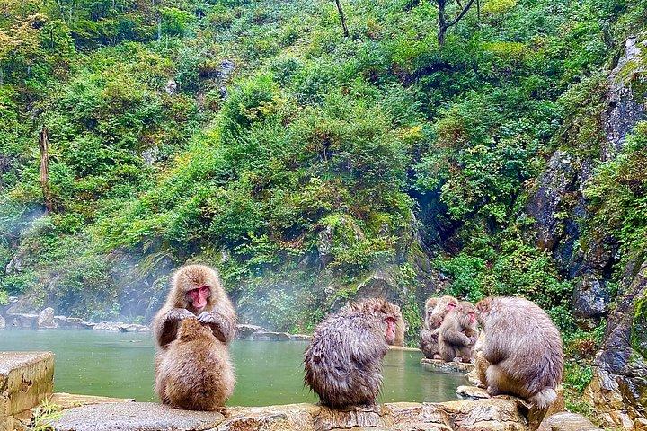 スノーモンキーパークと戸隠神社全日ツアー in 長野