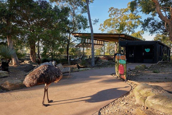 Sydney Taronga Zoos Aussie Backyard Adventure Tour