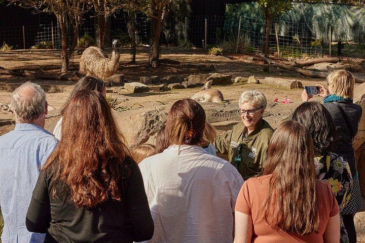 Sydney Taronga Zoos Aussie Backyard Adventure Tour