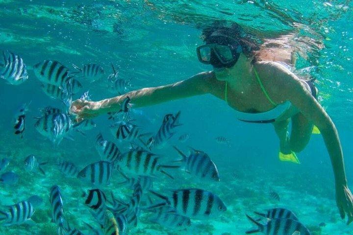 カボ・サン・ルーカスのアーチ群ボートツアー（水泳とビーチでの休憩付き）