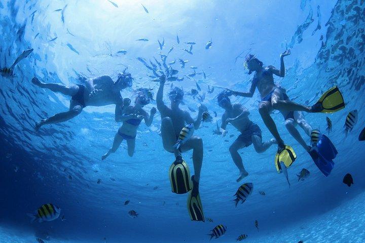 カボ・サン・ルーカスのアーチ群ボートツアー（水泳とビーチでの休憩付き）