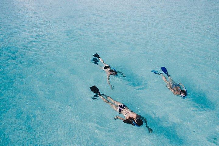 カボ・サン・ルーカスのアーチ群ボートツアー（水泳とビーチでの休憩付き）
