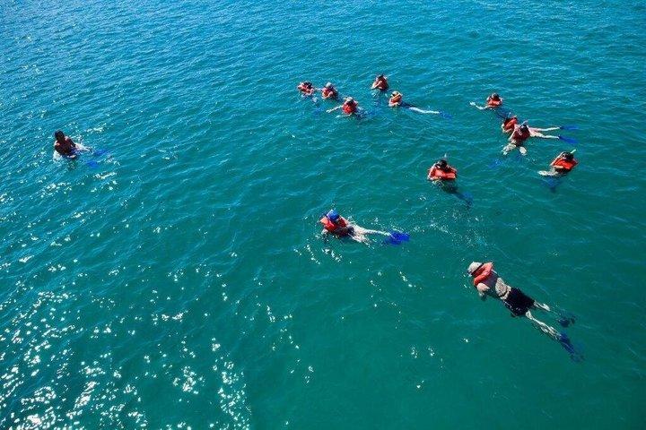 カボ・サン・ルーカスのアーチ群ボートツアー（水泳とビーチでの休憩付き）