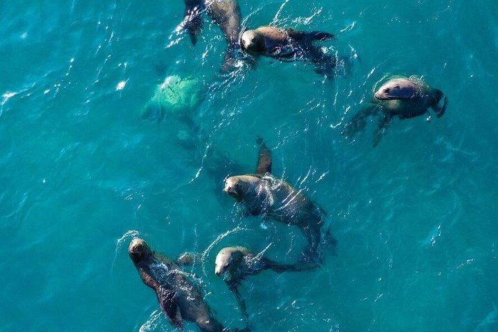 カボ・サン・ルーカスのアーチ群ボートツアー（水泳とビーチでの休憩付き）