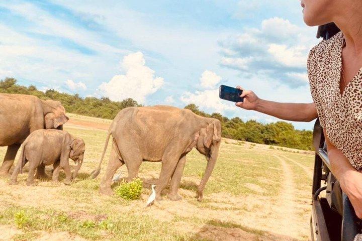 Parco nazionale di Udawalawe