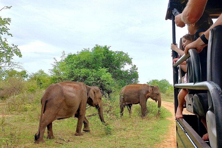 ウダワラウェ国立公園ジープサファリ