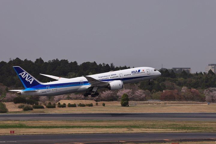 Private TOKYO Tour:After Arrival/Before Departure/Transfer Flight