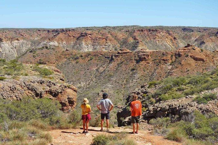 Ningaloo in een dag Safari Snorkelen en Yardie Creek Cruise
