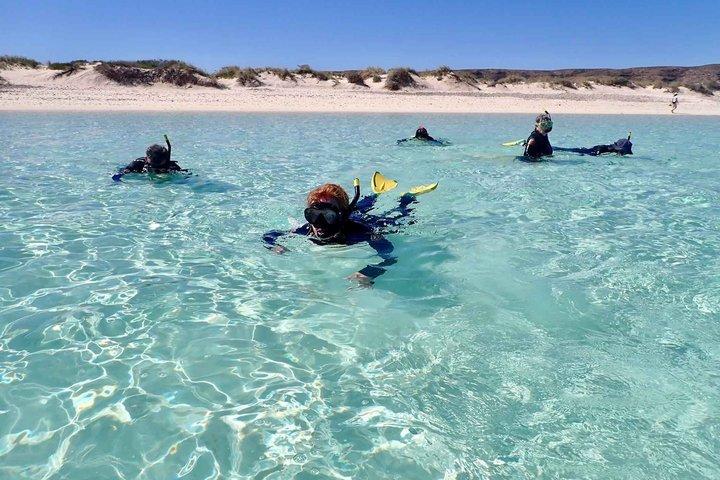 Ningaloo in een dag Safari Snorkelen en Yardie Creek Cruise