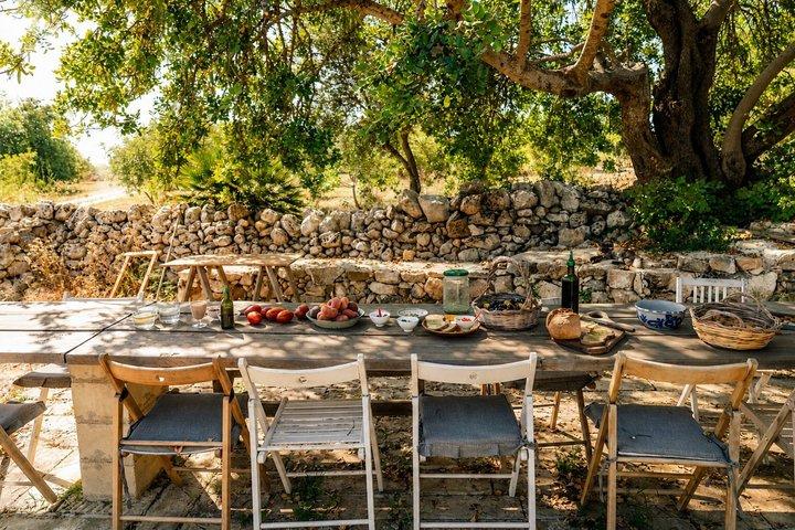 Olive Oil Tasting and Farm Tour in a Regenerative Sicilian Farm
