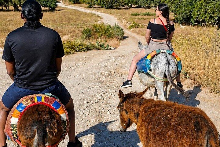 Berber Donkey Ride & Tea i Essaouira