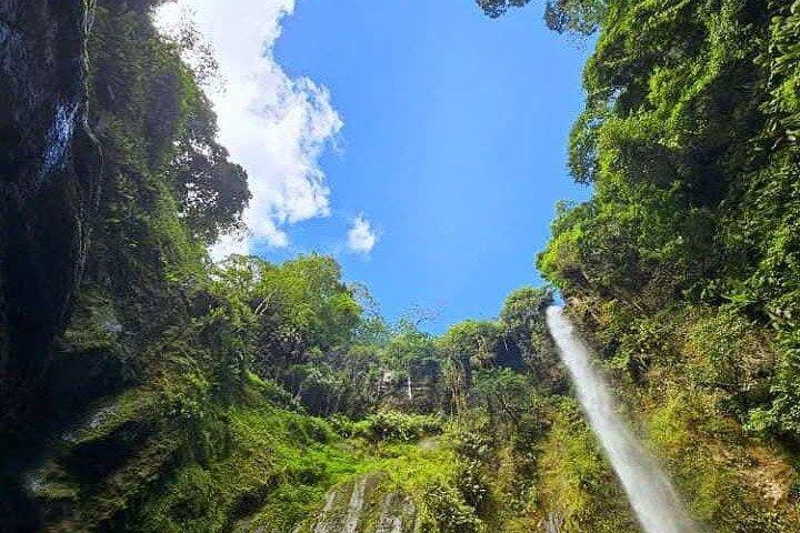 Mount Meru vandfald, kaffeplantage og Arusha City Tour