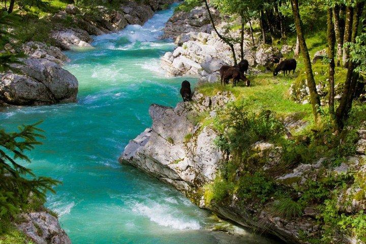 Das Beste von Slowenien und Italien Tolmin Triest Tagesausflug von Ljubljana
