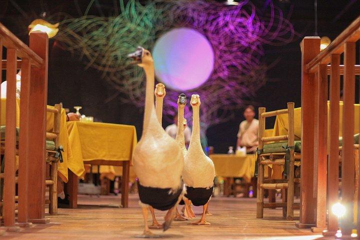 Siem Reap's Most Immersive Dinner Show with Full-Course Menu