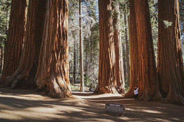 Yosemite Explorer 3 Tage Abenteuer ab Los Angeles