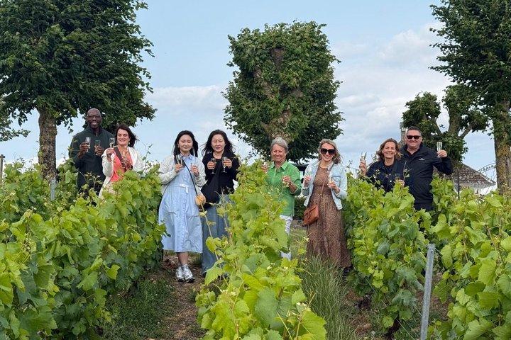 Excursão de um dia pela Toscana de Roma com degustação de vinhos e almoço tradicional
