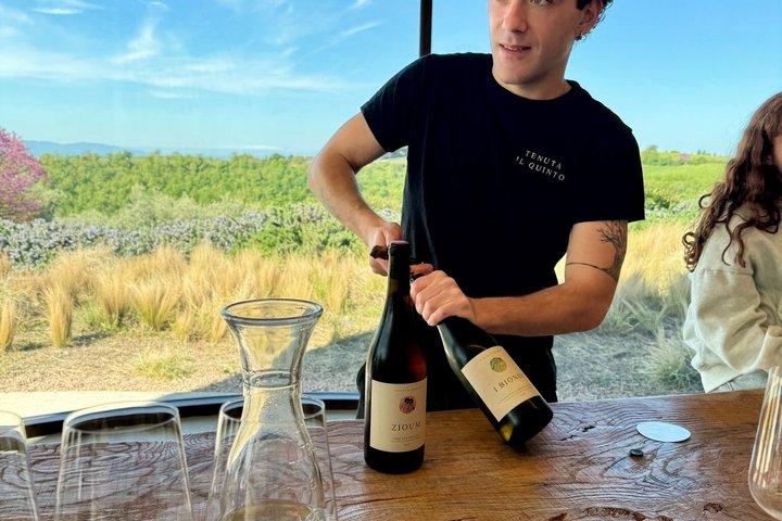 Tuscany Day Trip from Rome with Wine Tasting & Traditional Lunch