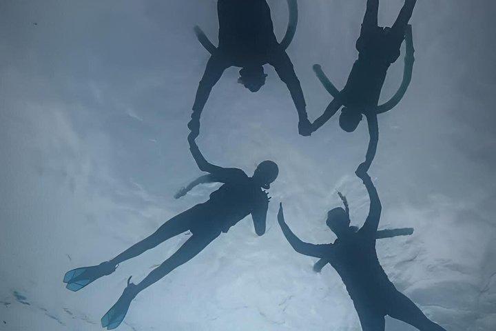 Aruba Turtle Snorkeling Private Tour with Underwater Footage