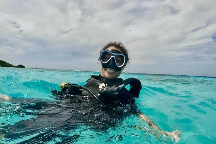 Private First-Time Dive in Aruba. Reef, Wreck or Turtle site