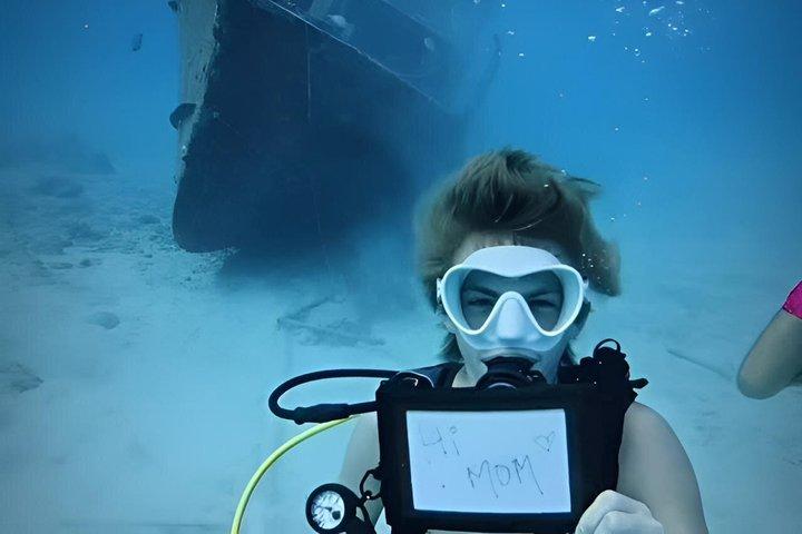 Prima immersione privata ad Aruba. Reef, Relitto o Tartaruga sito
