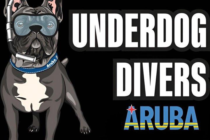 Aruba Private Scuba Diving One-to-One Experience