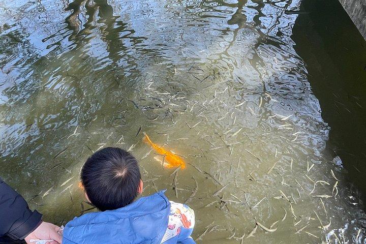 ハンドランクボートと霊隠寺で杭州プライベートツアー