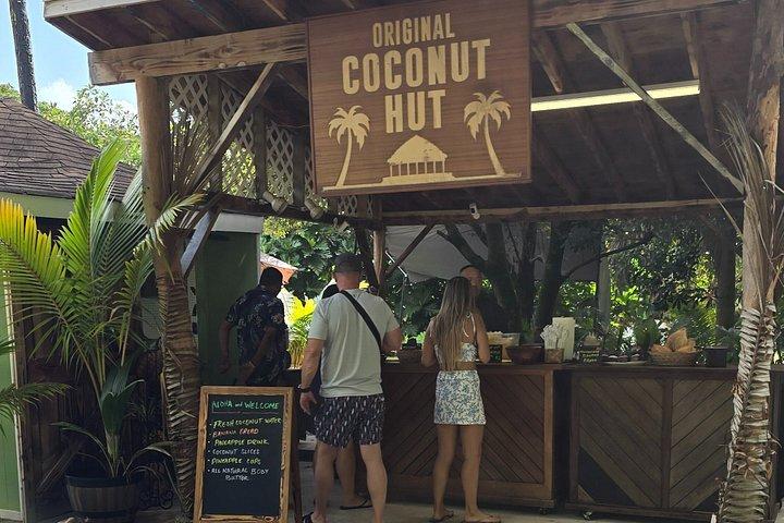 Private Oahu Custom Tour by Sprinter Van | Up to 10 Guests