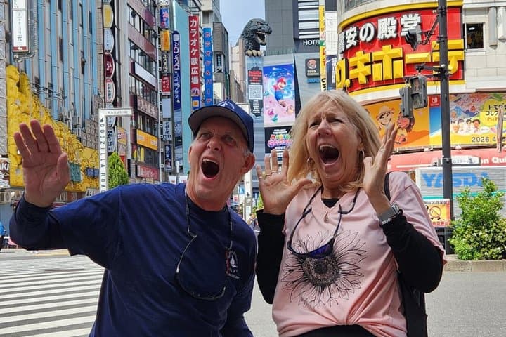 Tokyo Sightseeing City Tour by Private Car with English Driver