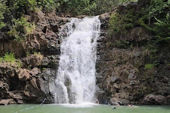 Private Oahu Custom Tour by Sprinter Van | Up to 10 Guests